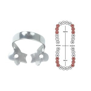 Grapa 1A para caninos y premolares 6B (049)