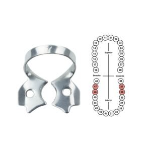 Grapa 7 para molares inferiores 6B (051)