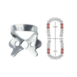 Grapa 2A para premolares inferiores 6B (060)