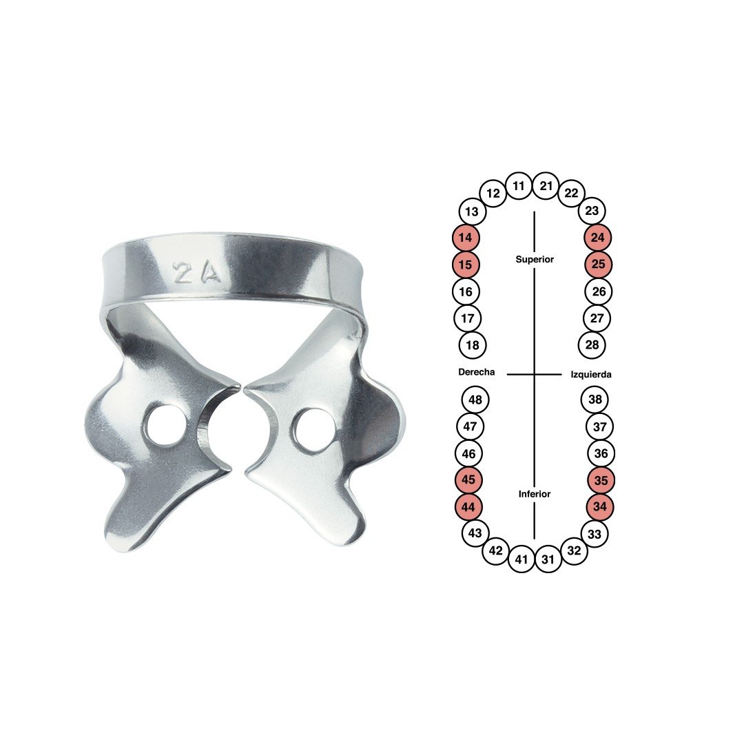 Grapa 2A para premolares inferiores 6B (060)