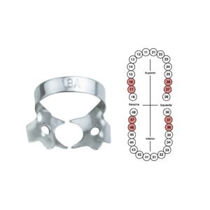 Grapa 8A para molares inferiores 6B (054)