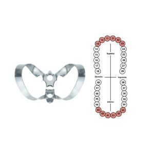 Grapa 9 para incisivos 6B (055)