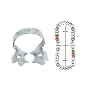 Grapa 14 para molares 6B (056)