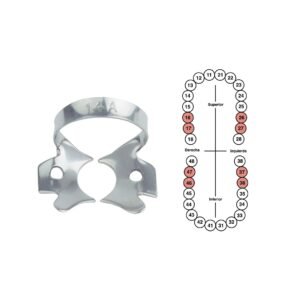 Grapa 14A para molares 6B (057)