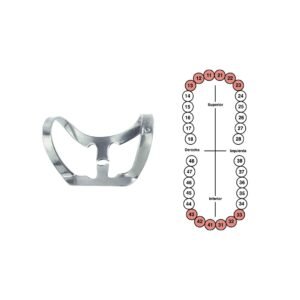 Grapa 212  para incisivos y caninos superiores 6B (058)