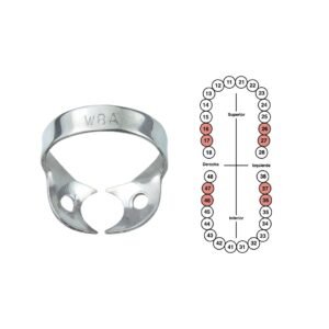 Grapa W8A sin aletas para molares 6B (059)