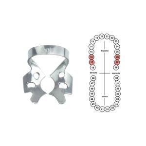 Grapa 201 para molares superiores 6B (G201)