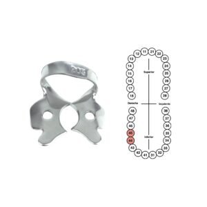 Grapa 203 para molares inferiores 6B (G203)