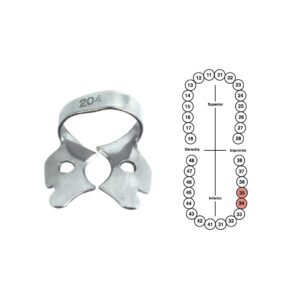 Grapa 204 para premolares inferiores 6B (G204)