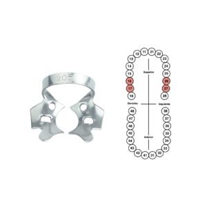 Grapa 205 para molares superiores 6B (G205)