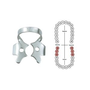 Grapa 3 para molares inferiores 6B (GP003)