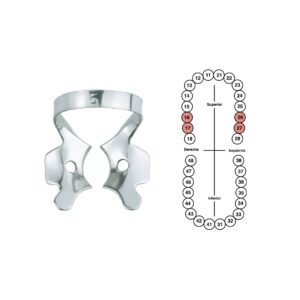 Grapa 5 para segundos molares superiores 6B (GP005)