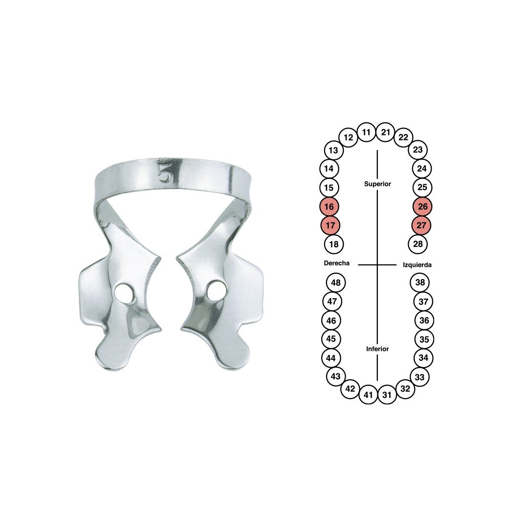 Grapa 5 para segundos molares superiores 6B (GP005)