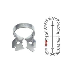 Grapa 12A para molares inferiores 6B (GP12A)