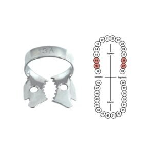 Grapa 13A para molares  6B (GP13A)