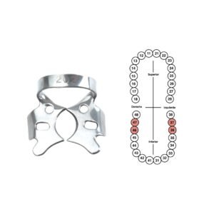 Grapa 202 para molares inferiores 6B (G202)