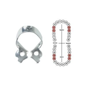 Grapa 00 para premolares 6B (048)