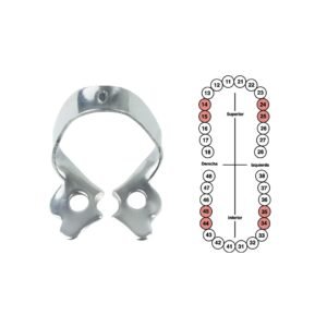 Grapa 0 para premolares 6B (047)