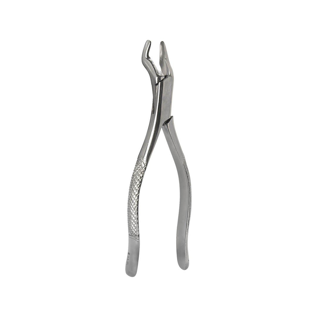 Estuche de fórceps tipo Americano adulto 6B (333) 10 piezas - Image 2