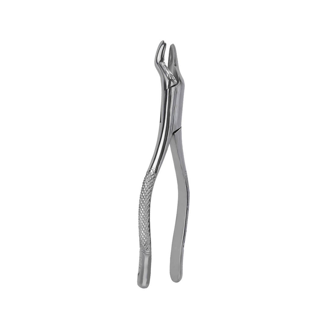 Estuche de fórceps tipo Americano adulto 6B (333) 10 piezas - Image 4