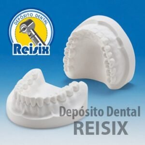 Tipodonto económico de yeso