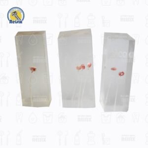 Cubo de 1, 2 y 3 CONDUCTOS para práctica endodóntica con cámara pulpar y conducto radicular Moyco