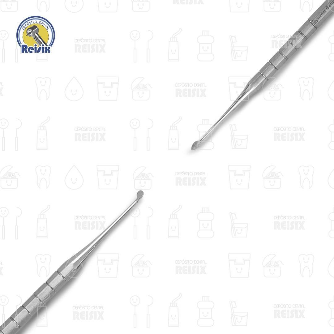 Cleoide discoide hexagonal 6B (183-A) - Image 2