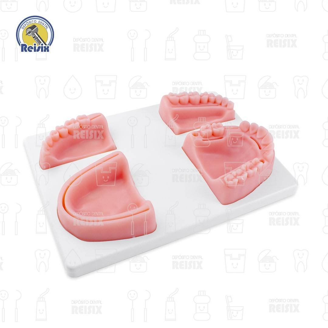 Modelo Simulador De encia Para Practicas De Sutura Incisiones dentales Reutilizable - Image 2