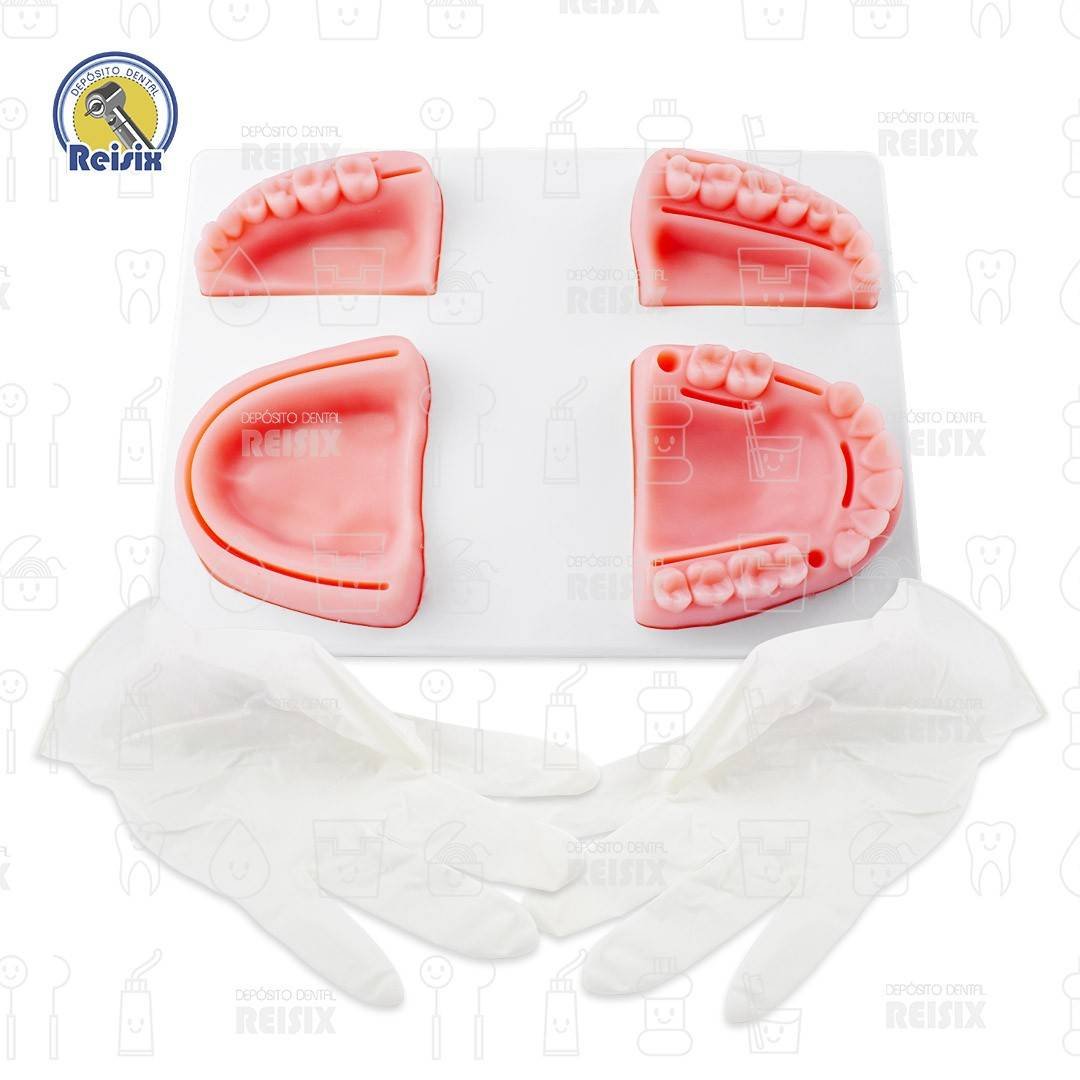 Modelo Simulador De encia Para Practicas De Sutura Incisiones dentales Reutilizable