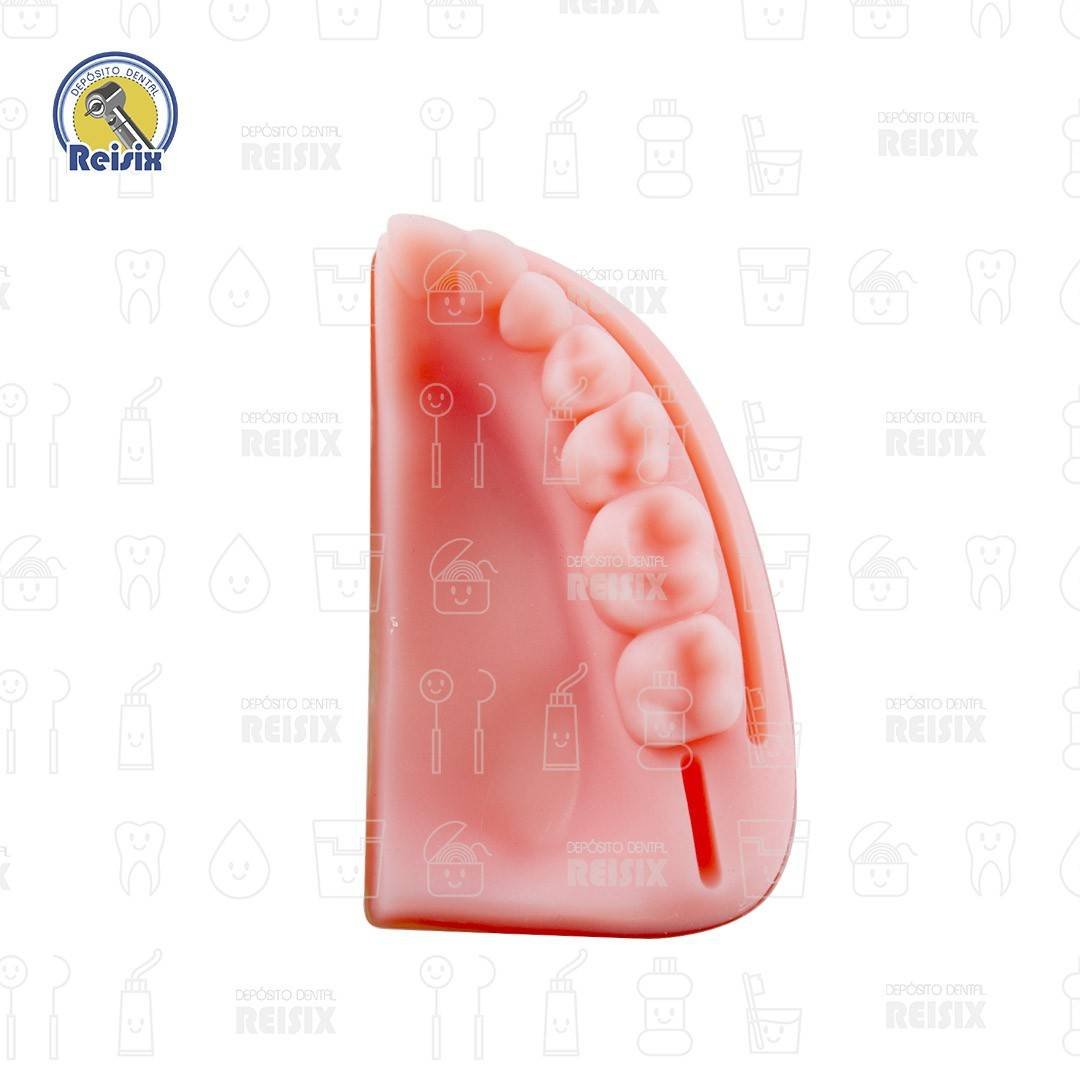 Modelo Simulador De encia Para Practicas De Sutura Incisiones dentales Reutilizable - Image 3