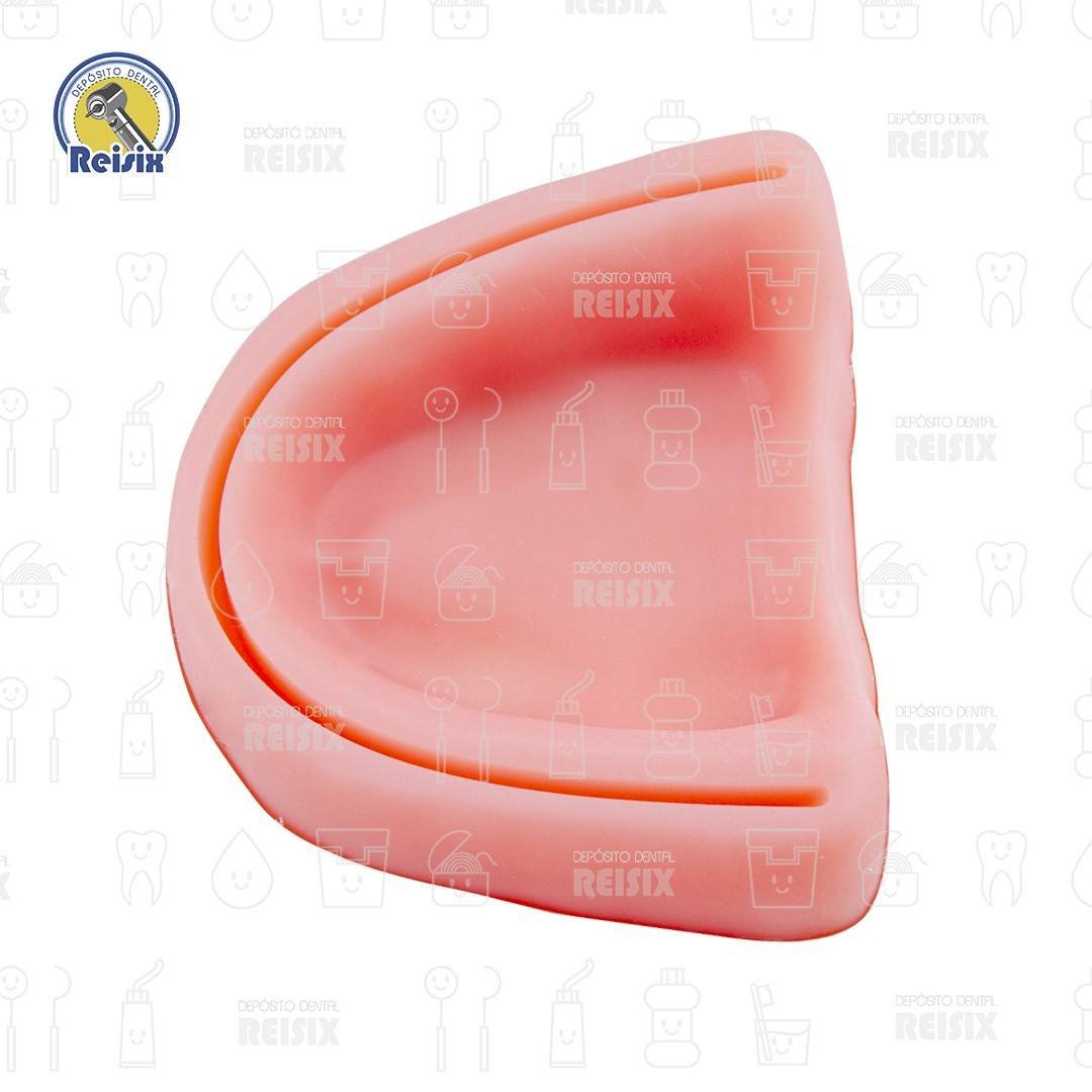 Modelo Simulador De encia Para Practicas De Sutura Incisiones dentales Reutilizable - Image 4