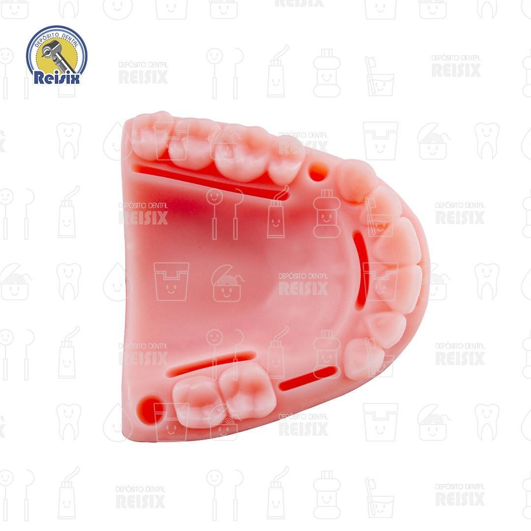 Modelo Simulador De encia Para Practicas De Sutura Incisiones dentales Reutilizable - Image 5