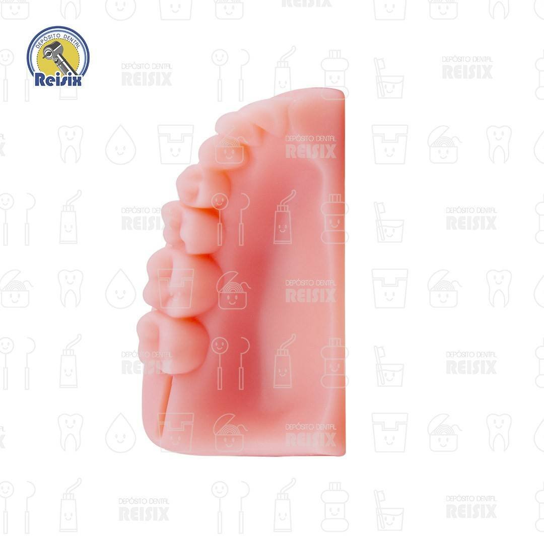 Modelo Simulador De encia Para Practicas De Sutura Incisiones dentales Reutilizable - Image 6