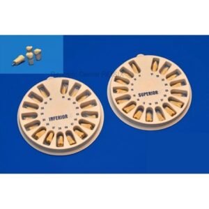 Juego de dientes superiores e inferiores para tipodonto tipo Nissi (32 pzas.) (200)