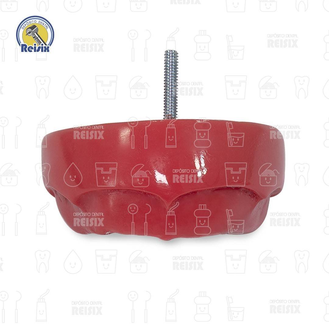 Repuesto para carodonto desdentado - Image 3