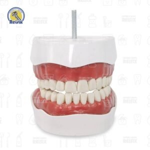 Repuesto para carodonto dentado