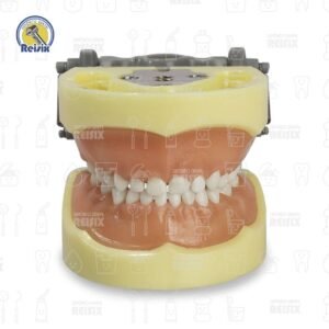 Tipodonto Tipo Nissi con Platina Metálica Infantil