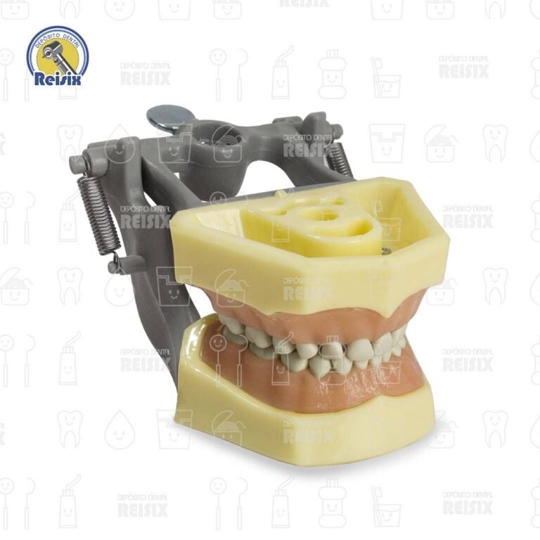 Tipodonto tipo Columbia Encía Suave Infantil