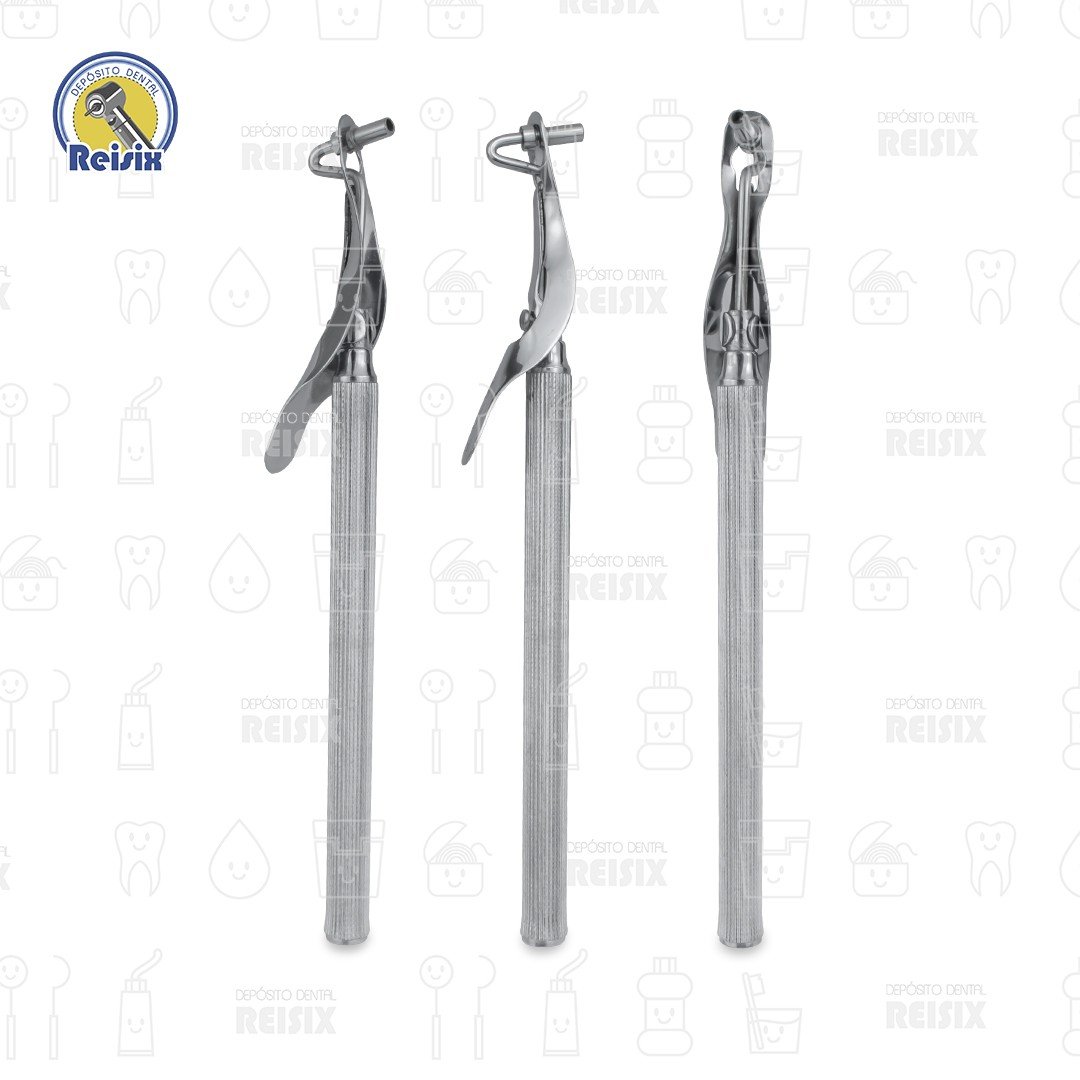 Porta amalgama un solo extremo 6B (188) - Image 2