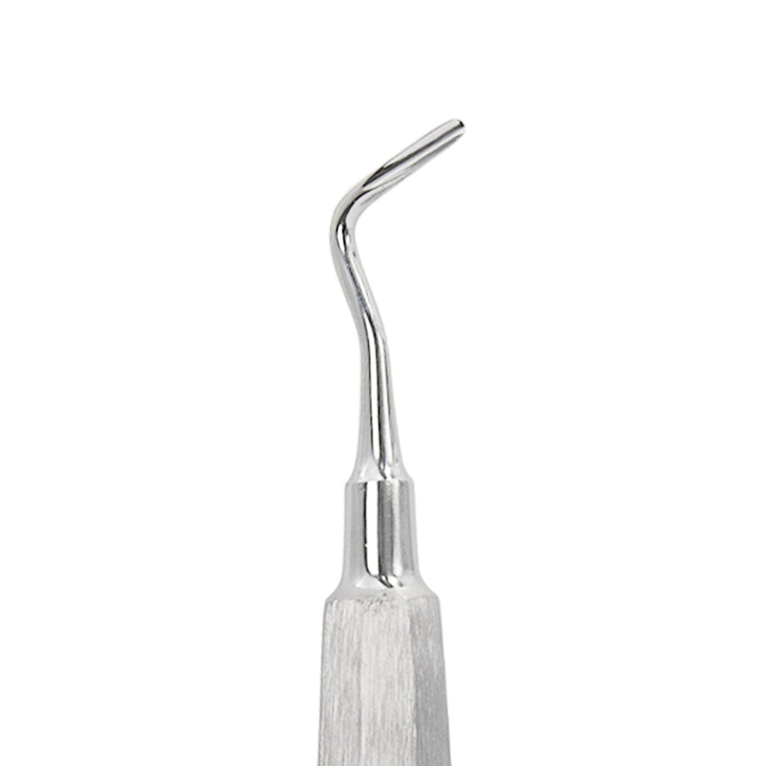 Elevador apical 302 derecho 6B (138) - Image 2