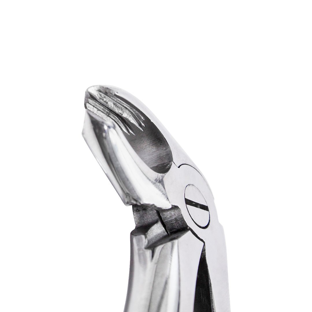 Fórceps pediátrico 566 tipo ingles para molares 6B (114) - Image 2