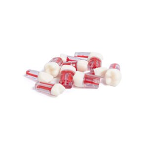 Juego de dientes con raíz para práctica endodóntica 10 piezas