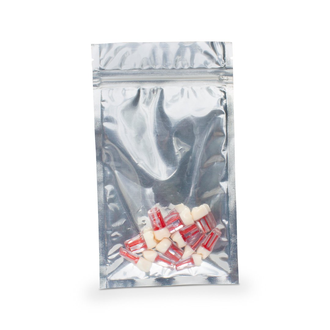 Juego de dientes con raíz para práctica endodóntica 10 piezas - Image 2