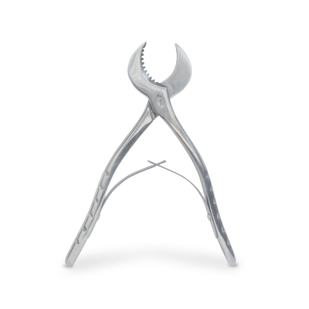 Pinza de cangrejo de acero inoxidable Dental Colors